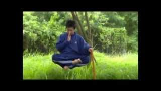 KETVI AMAZY - JUST FOR FUN - KUNGFU MASTER.avi
