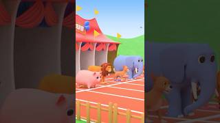 Animals Funny Run 😂Elephant, Pig, Lion and Dog #cartoon for Kids #shorts #shortvideo #animalsshorts
