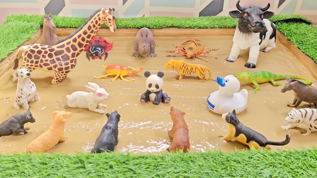 Nature's Tallest Giraffe and Mooing Cow Fun for Toddlers | Explore, Play, and Learn!