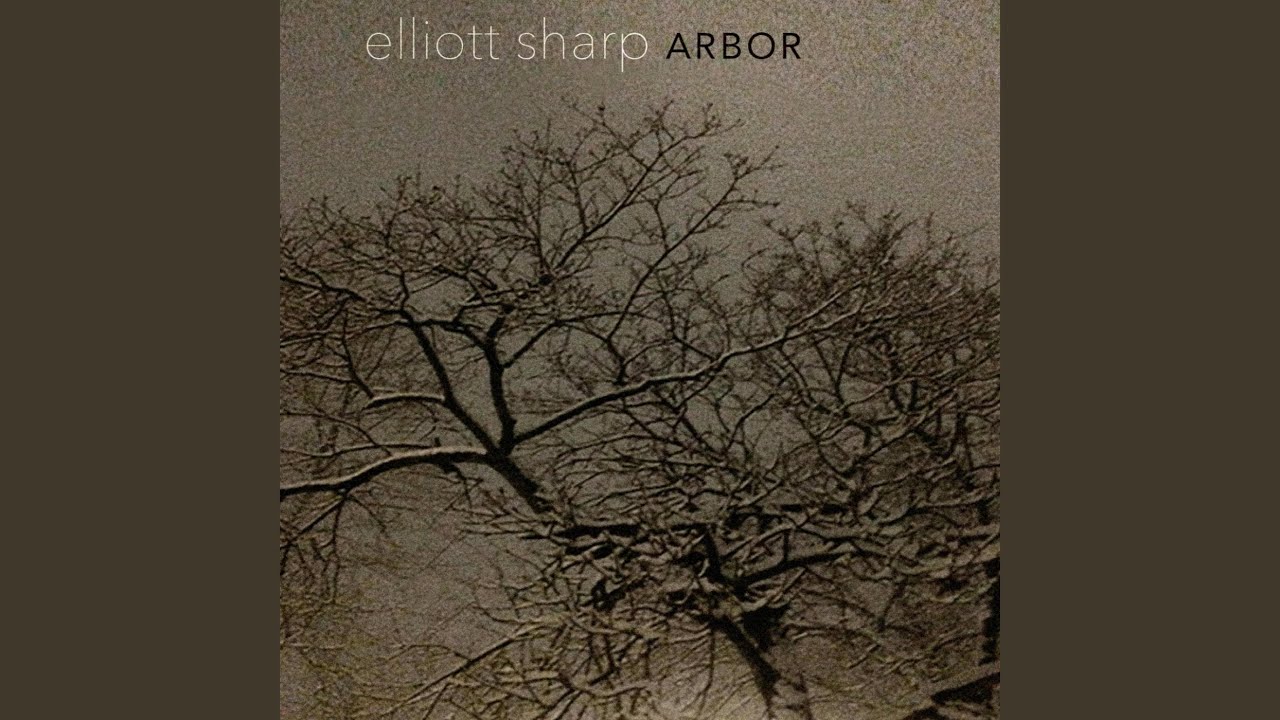 Root adlı videoyu YouTube'da izle Root adlı videoyu YouTube'da izle