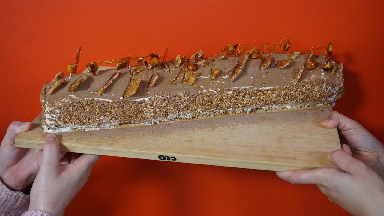 BÛCHE TIRAMISU