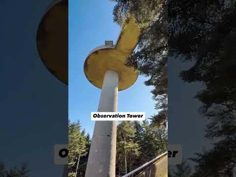 Kuwohi (formerly Clingmans Dome) is where the Smokies touch the sky.