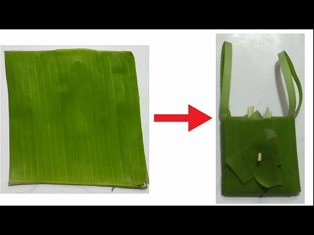 Eco-friendly Product Packaging Concept. Vegetables Wrapped in a Banana Leaf,  As an Alternative To a Plastic Bag Stock Image - Image of cotton, leaf:  182437343