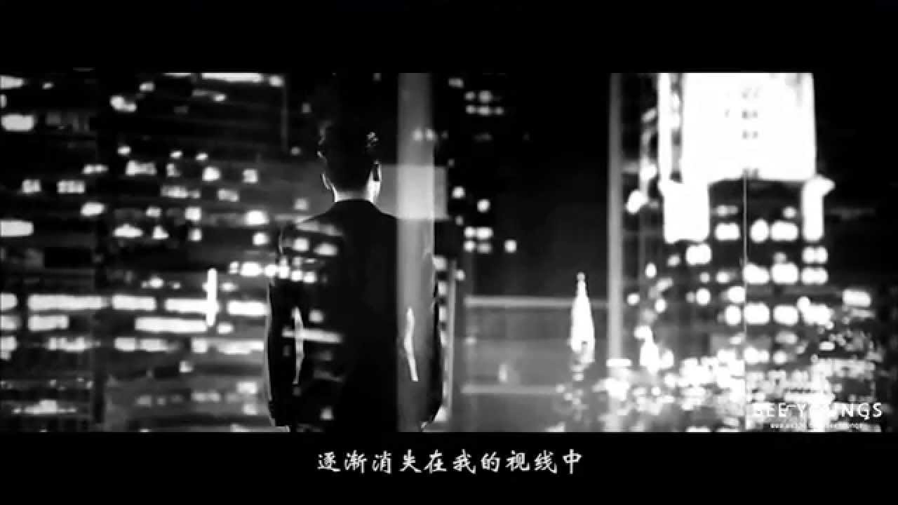 [FMV] BIGBANG-  If You M/V  (中字)