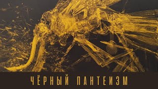 видео: Д. Хаустов / Чёрный пантеизм: Батай, Беньямин и ужас природы картинка: Д. Хаустов / Чёрный пантеизм: Батай, Беньямин и ужас природы