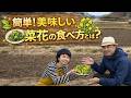 簡単! 美味しい菜花の食べ方とは?