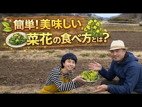 菜の花Peace～プロフ必読してね～です。 hqdefault.jpg?v=69c1e12c
