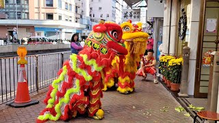 Chinese New Year 2024 Lion Dance Performance, Hong Kong 甲辰 龍年 年初三 舞獅表演 by Asia HOT 1,226 views 1 month ago 4 minutes, 7 seconds