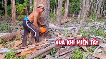 Cận cảnh những pha hạ gốc T.H.Ó.T T.I.M của Vua Khỉ miền Tây (Phần đầu)