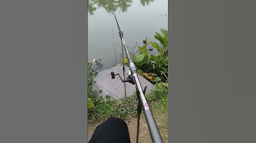 câu lục nhỏ bằng cần iso, không khác gì câu lục cần tay