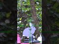 UMAREX ORIGIN VS. THE RABBIT #shortvideo #shorts #viralshorts #airgun #pelletguns #trending