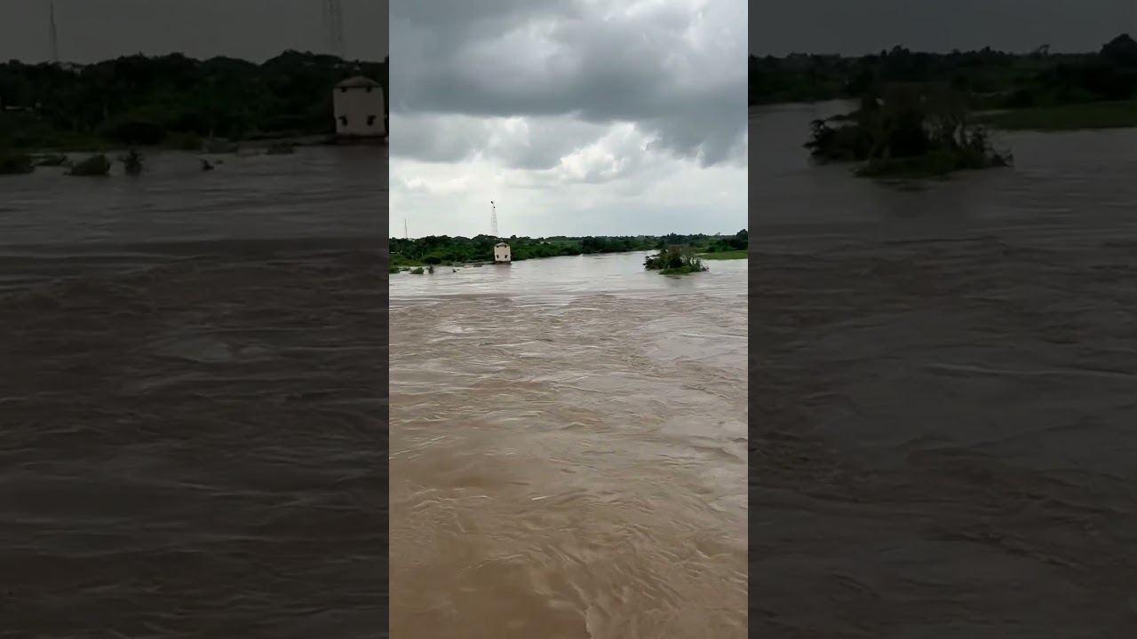 #flood