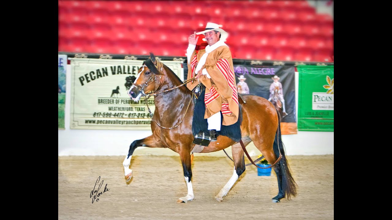 PECAN VALLEY RANCH WEATHERFORD, TEXAS YouTube
