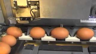 impresoras de huevos /inkjet egg printers