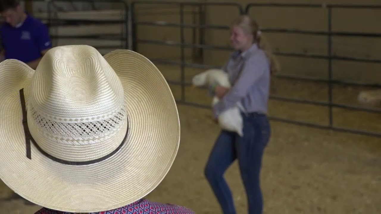 2018 West Otter Tail County Fair Blue Ribbon Auction YouTube