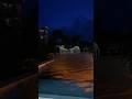 “Mind Calming Wellness Garden | Night Lighting Magic 🌙”