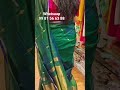 #maheswari trending saree #dm for 99 81 56 63 88✅