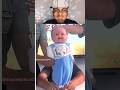 Try not to laugh #trynottolaugh #reaction #memes #shorts #funny