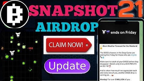 Blum Airdrop Snapshot Update |  Dogs Eligibility Criteria | Blum Update | Blum Withdrawal process |