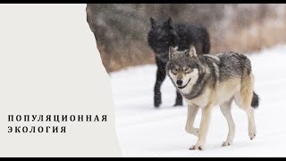 картинка: Популяционая Экология (Часть 1)
