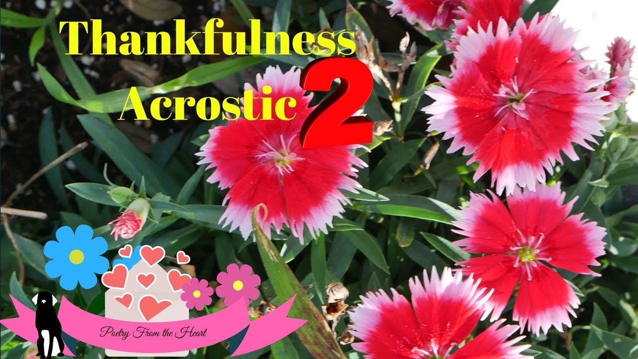 Thankfulness Acrostic 2 - YouTube