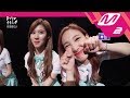 [MV Commentary] TWICE(트와이스) - SIGNAL 뮤비코멘터리