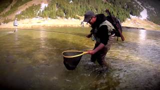 Big Krimmler Ache Grayling