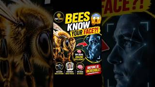 Bees Can Recognize Human Faces! 🐝😱 #shorts