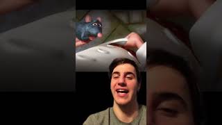 DID YOU NOTICE THIS IN RATATOUILLE? Net Worth