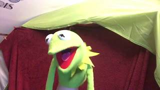 Kermit the Frog Sings Once in a Lifetime