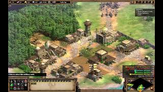 Age of Empires II: Definitive Edition: Tariq ibn Ziyad: Divide and Conquer