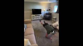 Genji Fight #overwatch #overwatch2 #memes #overwatchmemes #genji