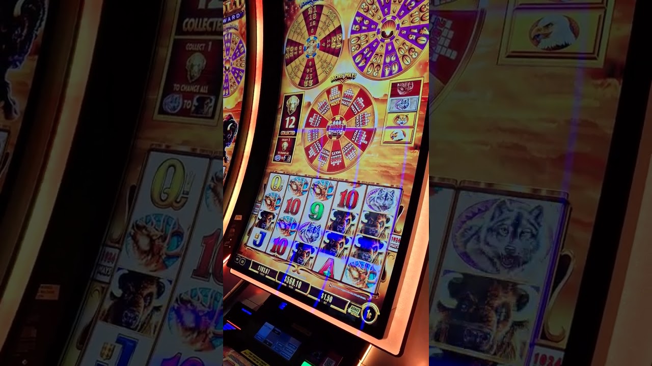Buffalo Gold Wheel Rewards Epic Low Bet win 