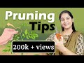 Pruning of Plants: Timing, Techniques, and Types