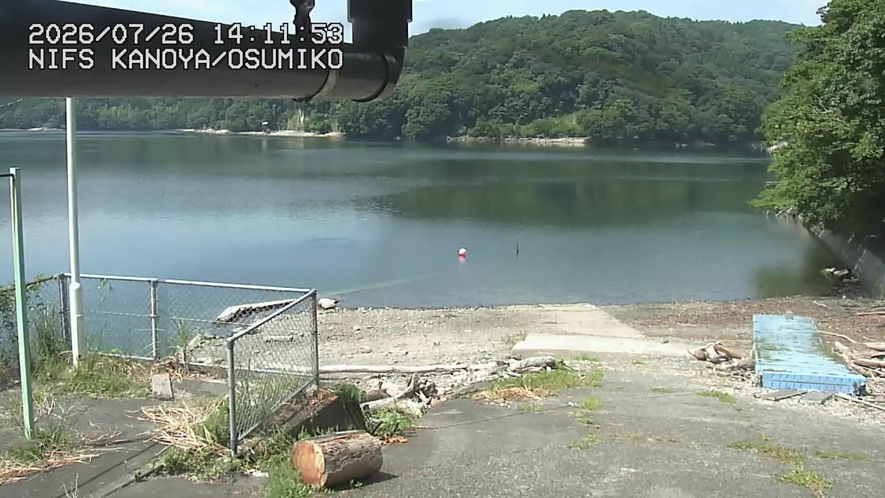 鹿屋体育大学ライブカメラ　大隅湖