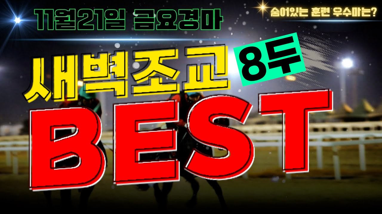 [굽소리경마] 11월21일 금요일 부산경마!! 어려운 부산경마 해법? 준비잘된 8두가 있다!!#새벽조교#과천경마장#조교우수마#굽소리경마