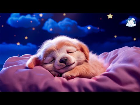 Canciones para Dormir en 5 Minutos - Música Relajante para Dormir Profundamente