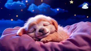 Sleep songs in 5 minutes  Relaxing music to sleep deeply