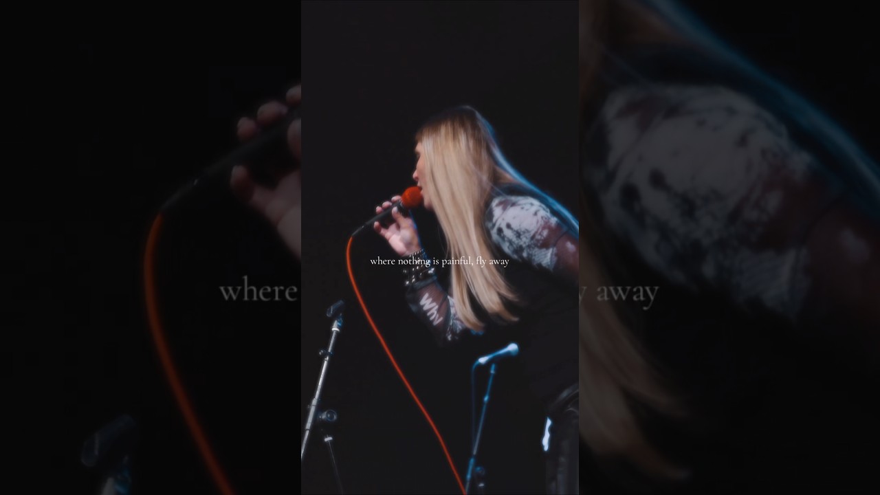Fly away 🖤