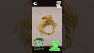 開運🐉精麻龍・麻の龍ワークショップ - u-seven