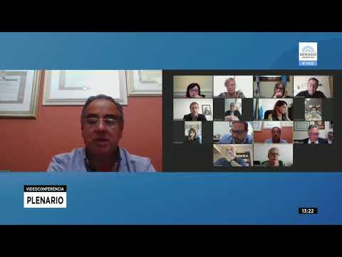 SDOR. JULIO MARTÍNEZ - PLENARIO 30-11-21