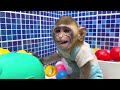 あんなに孤独だったのに今は仲間たちが頼まなくても来るパンチくん。【パンチくん🐵】がんばれパンチ モンキー・アニーの素敵な農場の一日!新鮮な食材を収穫して、美味しい料理を作ろう!