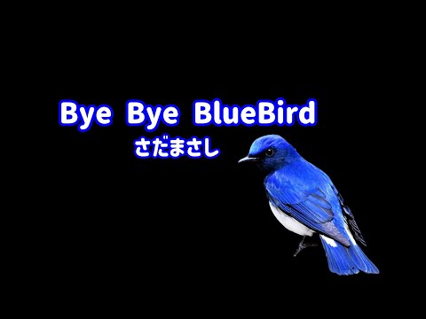 さだまさし Bye Bye Blue Bird