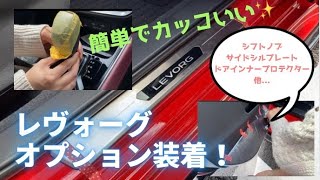 納車後のレヴォーグにオプション取り付けて見た！
