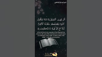 القارئ: شيخ ابو بكر الشاطري 🤍