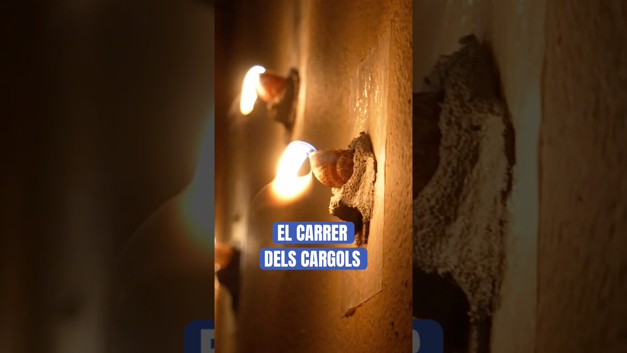 La processó de Verges és coneguda per la dansa de la mort 💀 Però coneixies el carrer dels cargols?