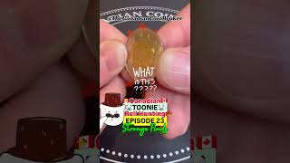 This Toonie Shouldn’t Exist in This Roll… #canadiancoins #coin #coincollecting