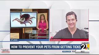 How to prevent your pets from getting ticks