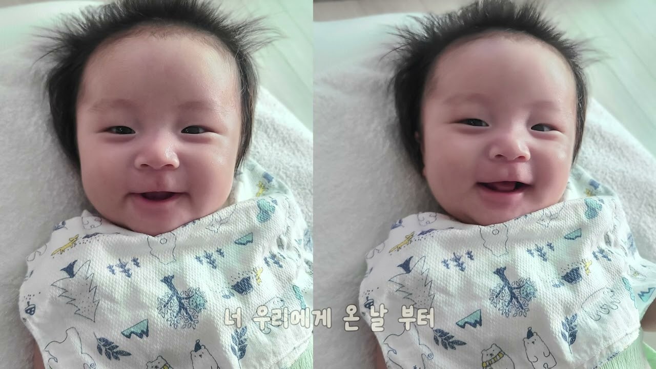 윤우돌잔치영상 완