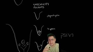 what are specificity pockets?